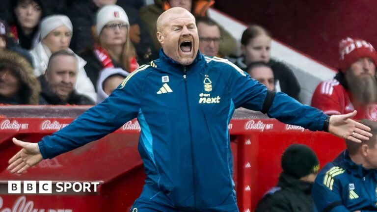 Nottingham Forest manager Sean Dyche reacts during the Premier League match against Manchester City